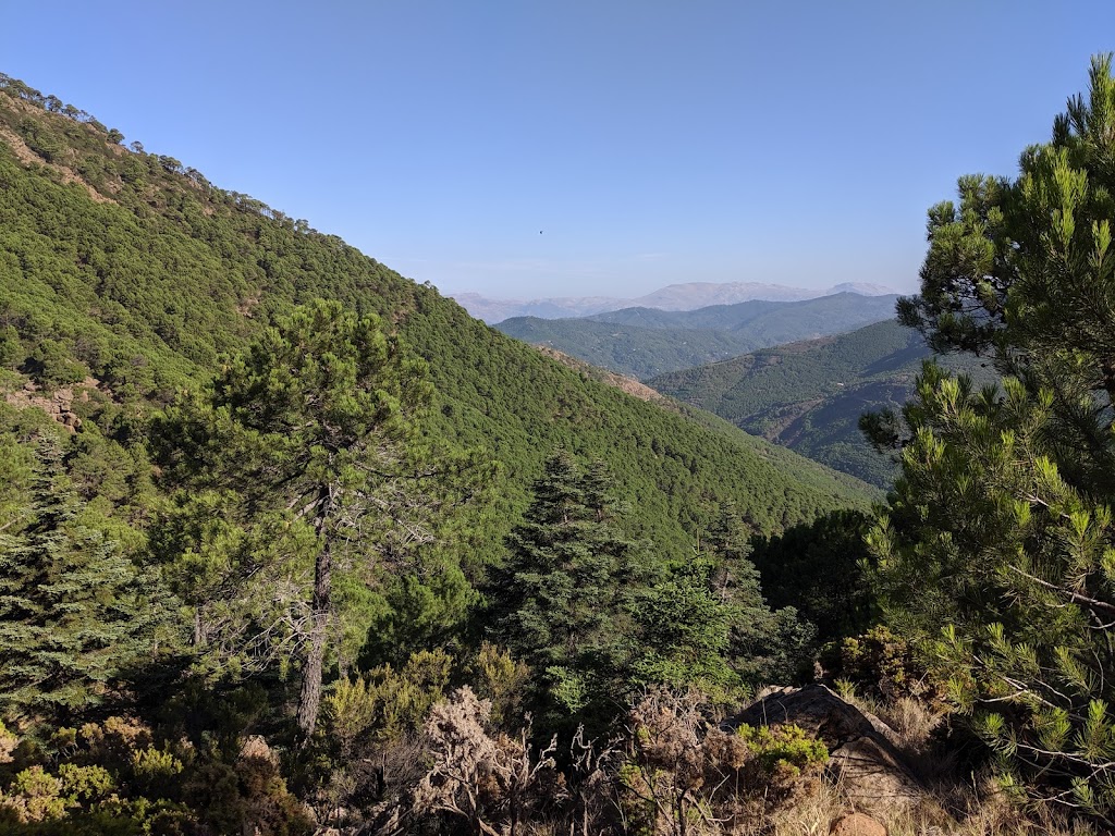 Paraje Natural Los Reales de Sierra Bermeja