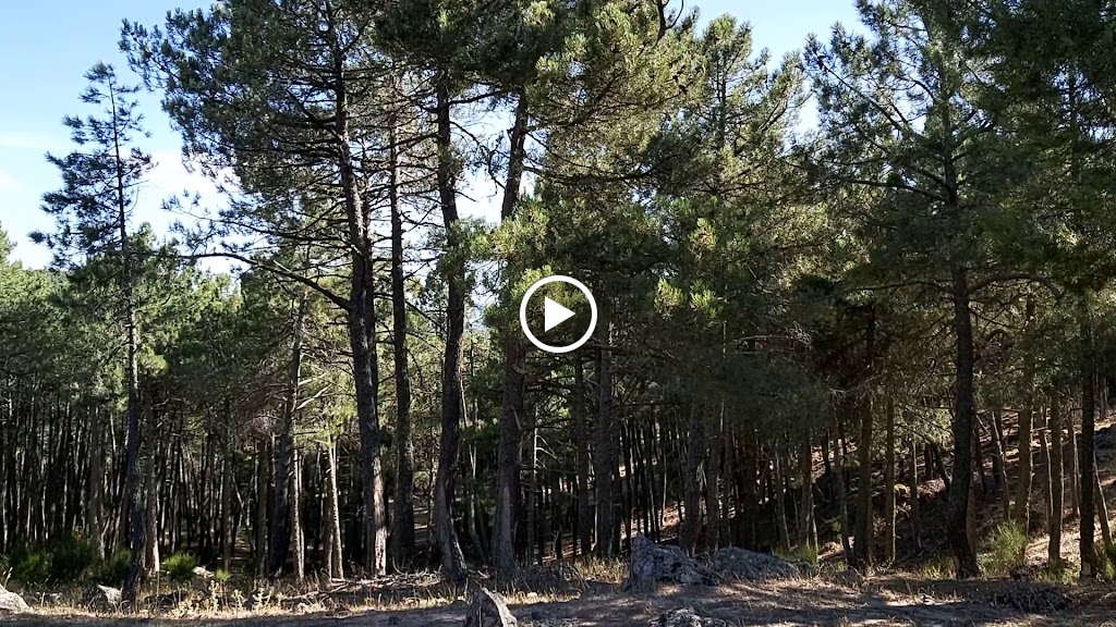 Ruta turistica de los Riscos y Atalayas — Videos