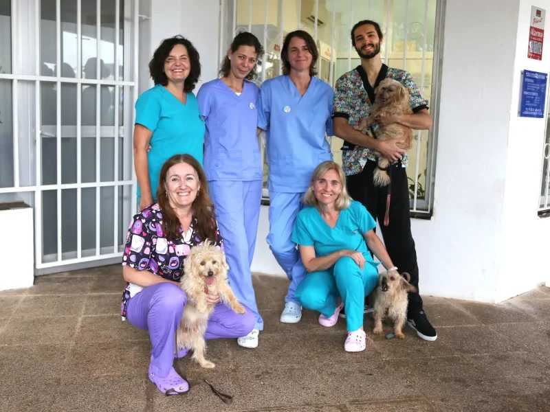 Clinica Veterinaria Son Ferrer C.B.