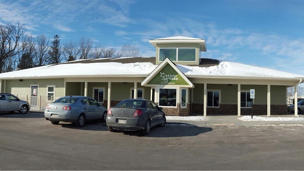 Little Sprouts Daycare Menomonie (by Little Newtons)