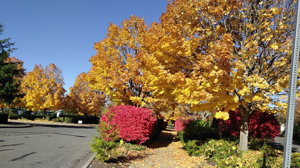 Mercer Island Park & Ride