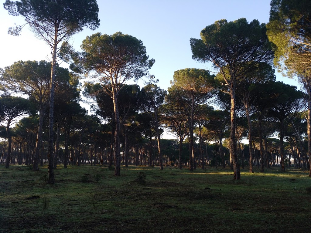 Nucleo Recreativo Los Valles