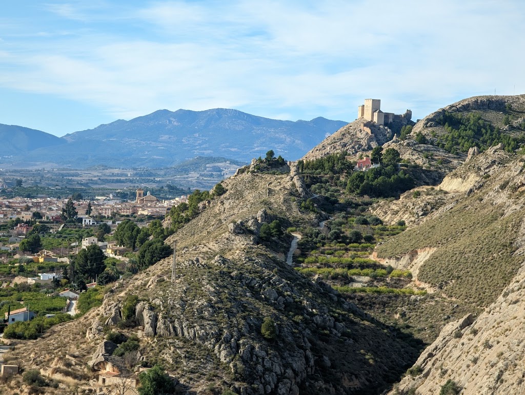 Mirador el Cigarralejo