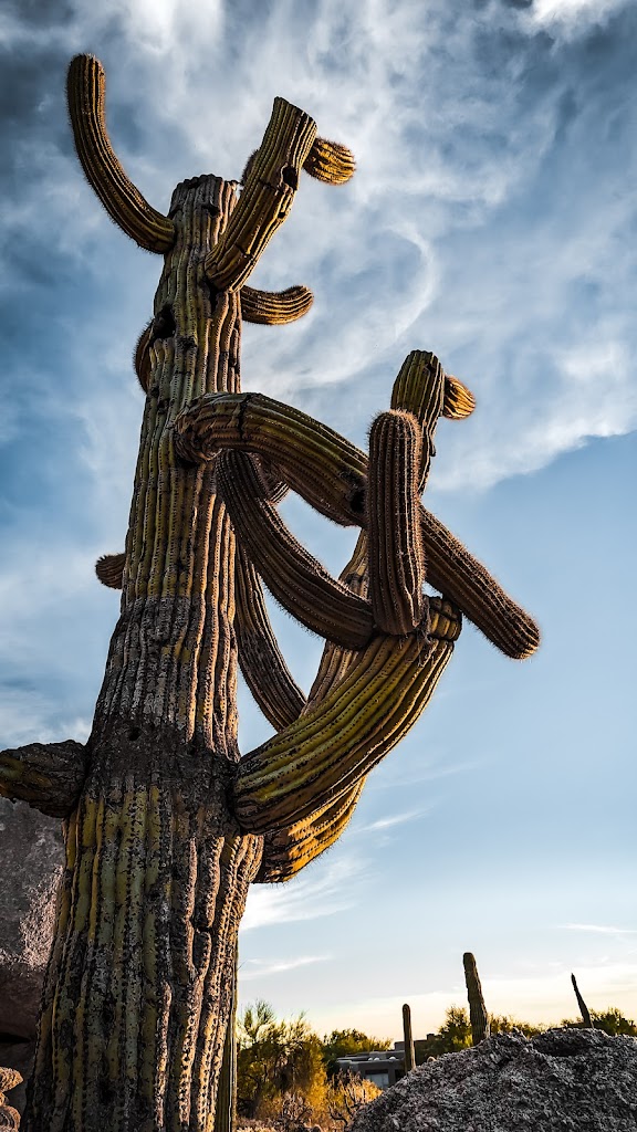 The Boulders - Resort hotel in Carefree , United States of America