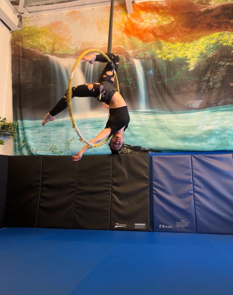  Tiger Mom Aerial Hoop Studio