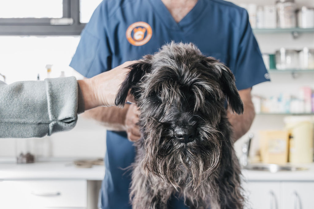 Centro Veterinario Torrelodones