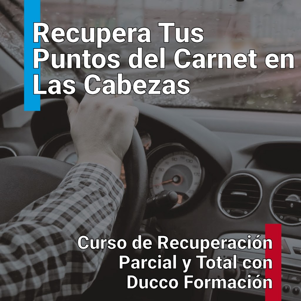 Recuperacion de Puntos del Carnet — Del propietario