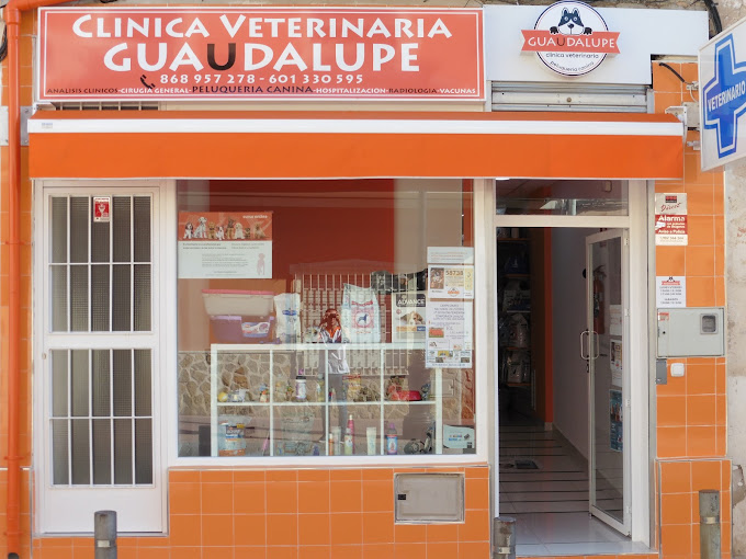 Clinica Veterinaria Guadalupe — Del propietario