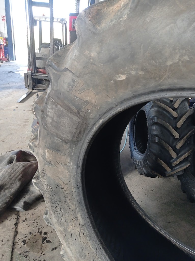 NEUMATICOS RAMIREZ RUZ SLU