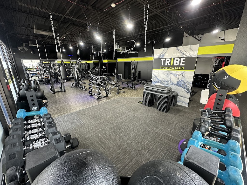  TRIBE Training Club