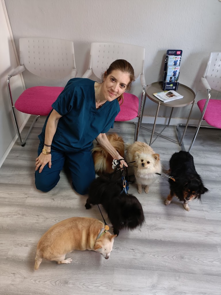 Clinica Veterinaria Alcora — Perro