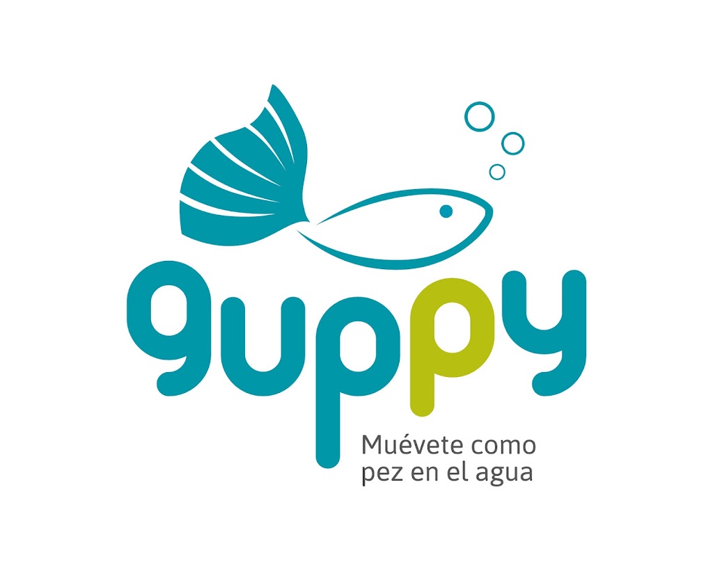 Guppy Bilbao — Del propietario
