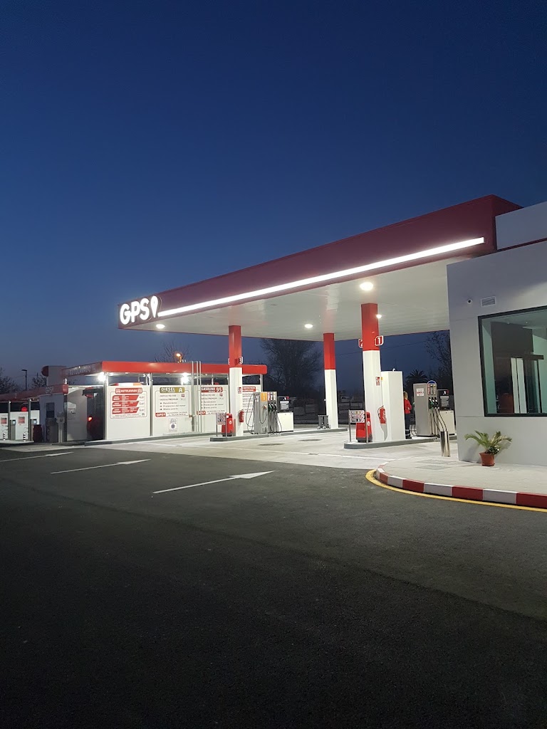 GPS Petro Puente
