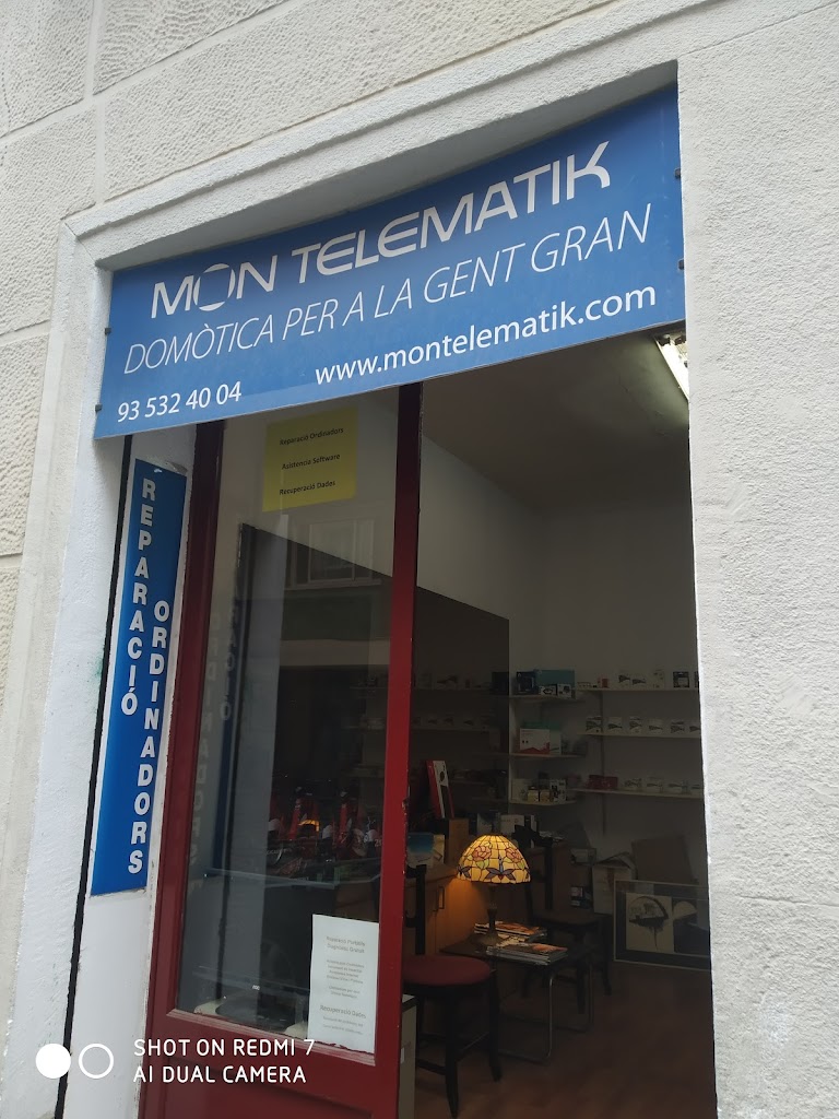 telematik spain en Barcelona