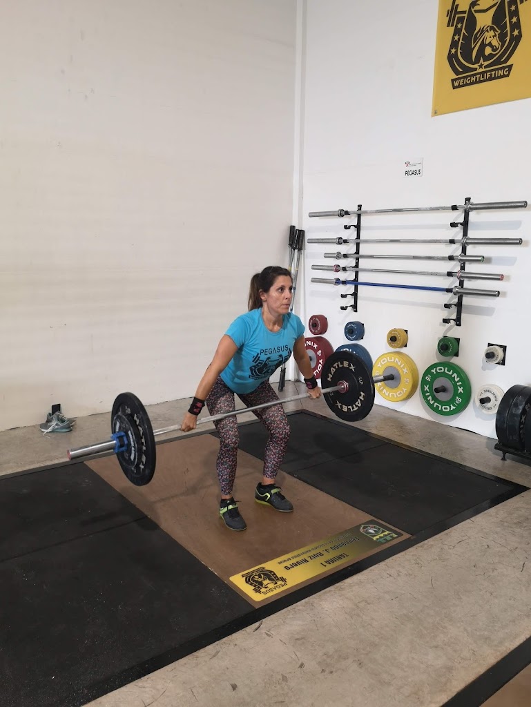 Pegasus Training Center — Gimnasio