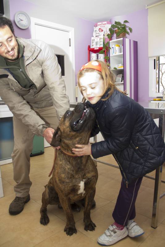 Clinica Centro Veterinario Avenida — Perro