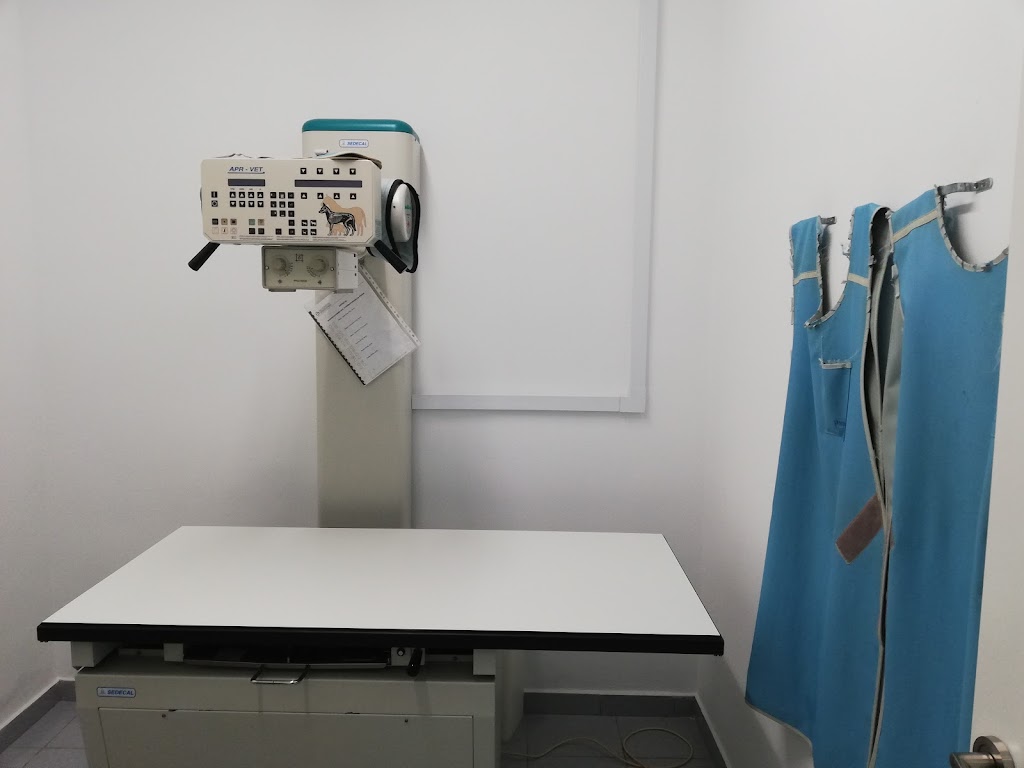 Clinica Veterinaria Raquel Guallart