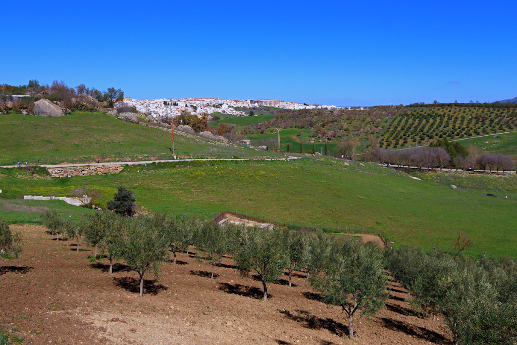 Sendero Ronda a Cartajima