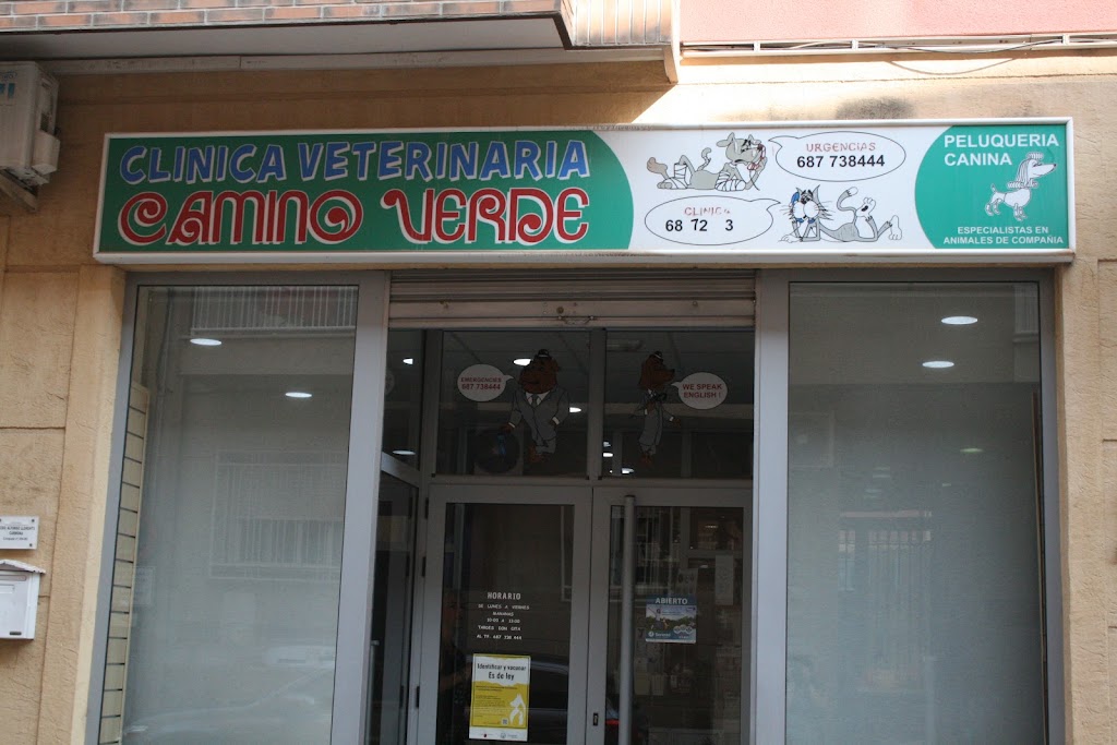 Camino Verde