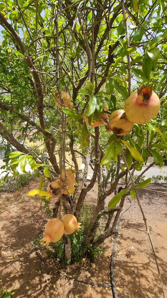Parque Roque Aguayro