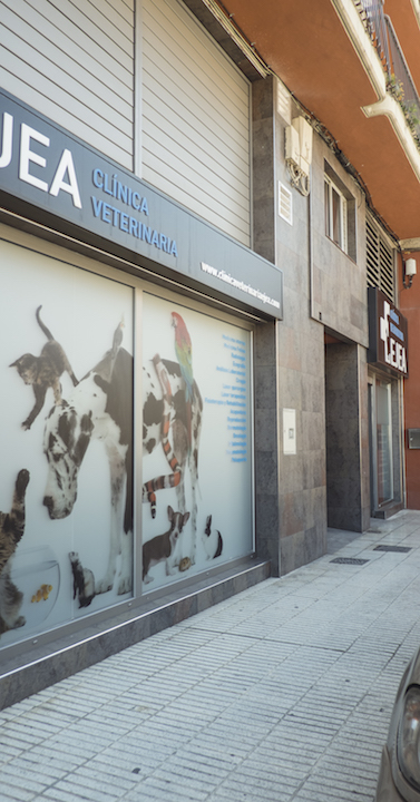 Clinica Veterinaria Ejea