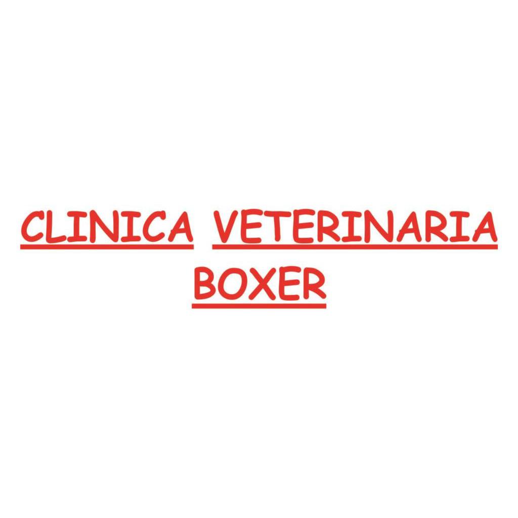 Clinica Veterinaria Boxer — Del propietario
