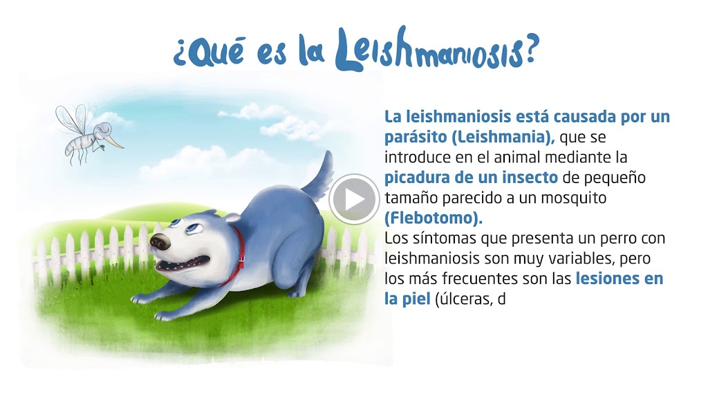 CLINICA VETERINARIUM II — Del propietario