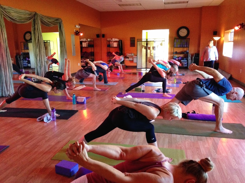  Eastern Shore Yoga