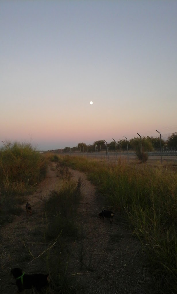 Parque de Miguel Merino