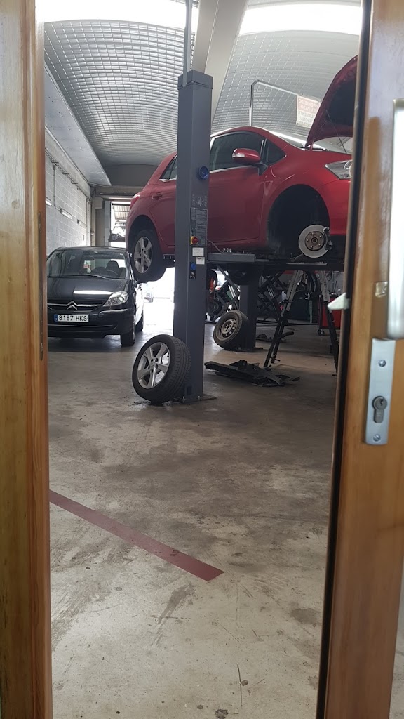 Neumaticos Mungiauto