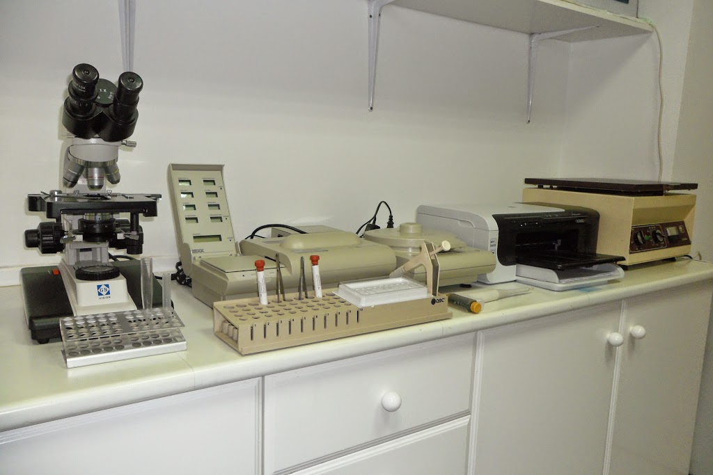 Clinica Veterinaria El Saladar C.B. — Del propietario