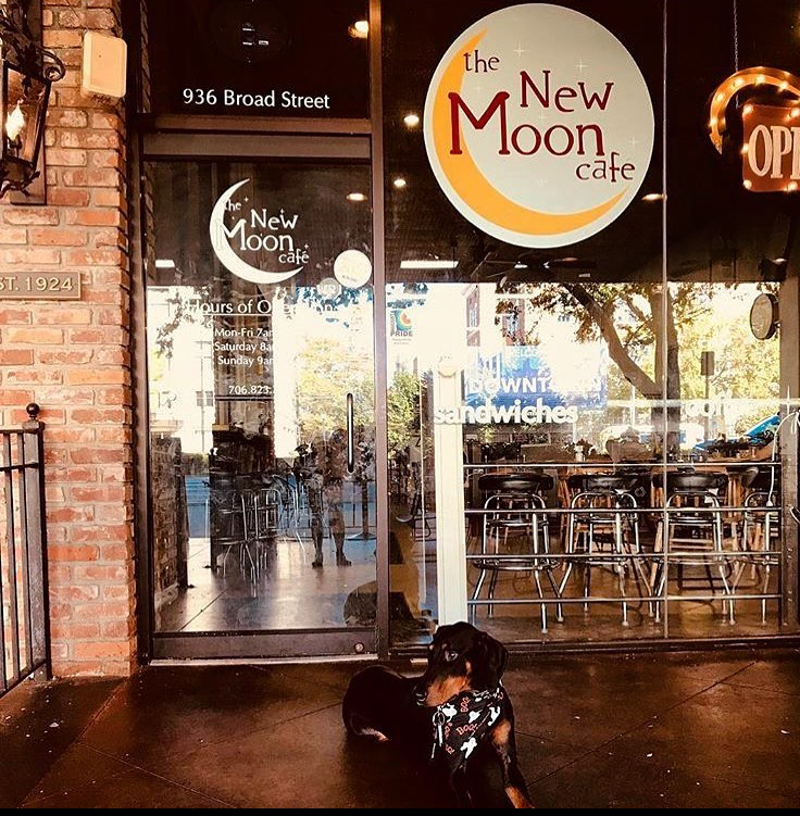 Photo of New Moon Cafe