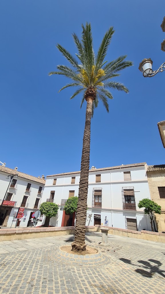 Estatua Fernando I de Aragon