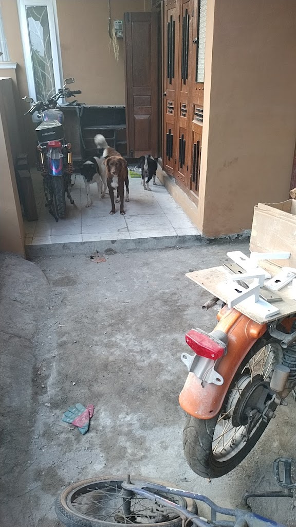 Tanjung Motor 2
