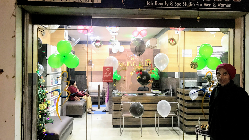 Pacific Blue Best Beauty Parlour In Gorakhpur Best Beauty Salon In Gorakhpur