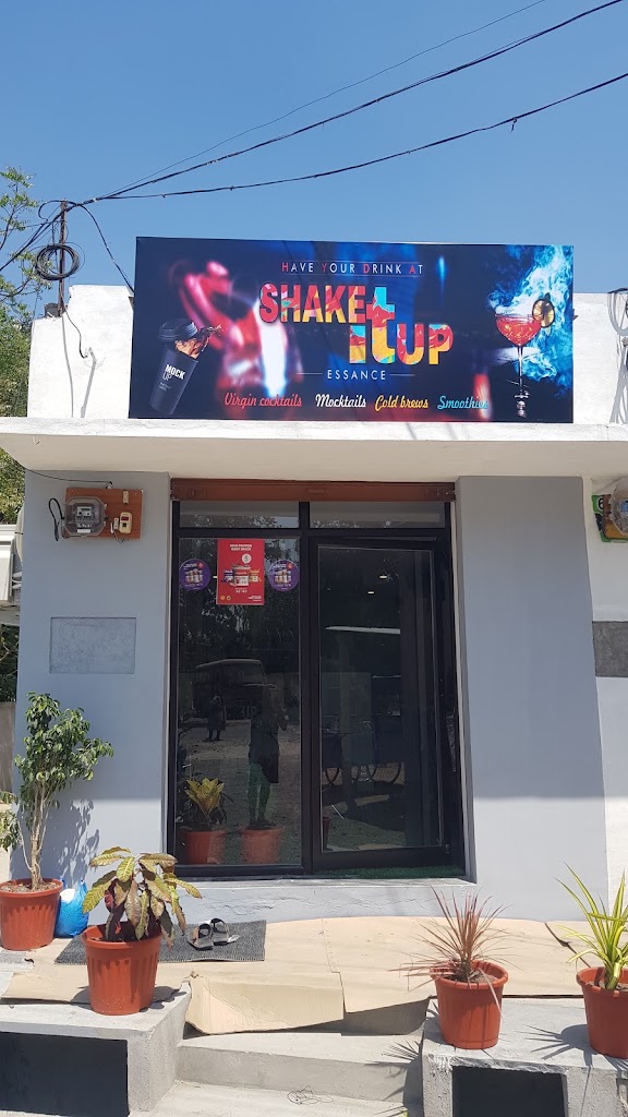 Shake It Up Essence
