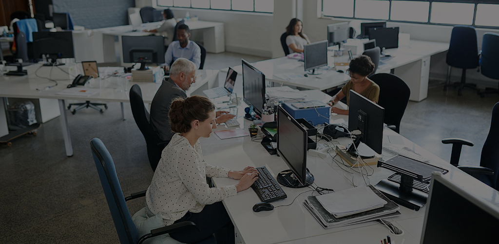 Entrebase Llc