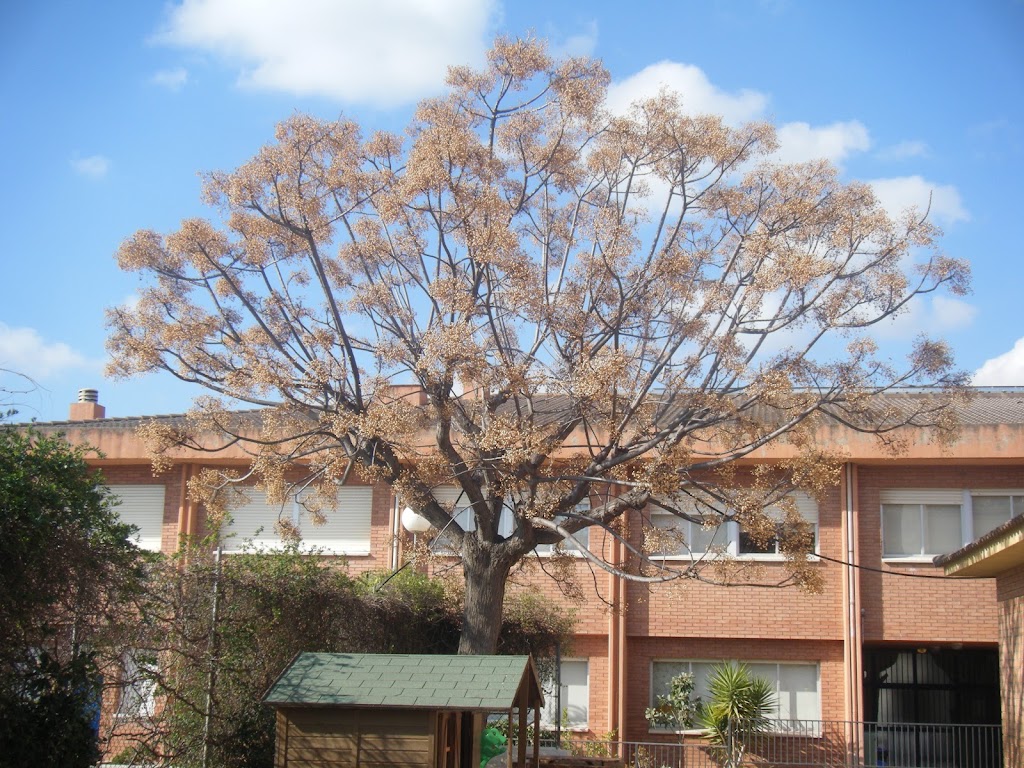 Escuela Francisco Ferrer y Guardia — Del propietario
