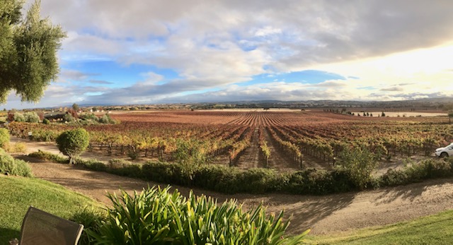 Still Waters Vineyards And Tasting Room