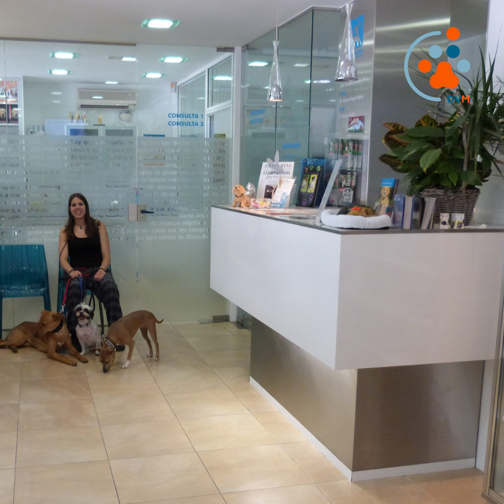 Dermatologia veterinaria Madrid — Del propietario