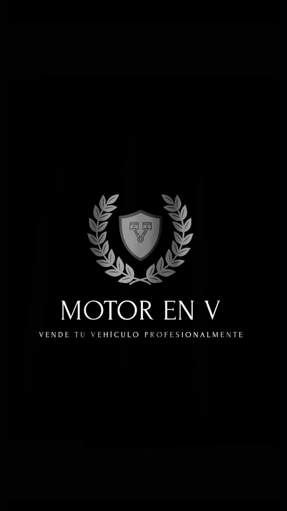 Motor en V — Del propietario