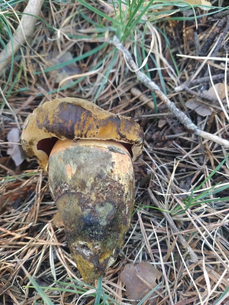 Abantos al Refugio Las Naranjeras