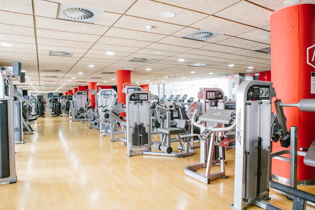 Cosmopolitan Fitness & Wellness Club - Elche — Gimnasio