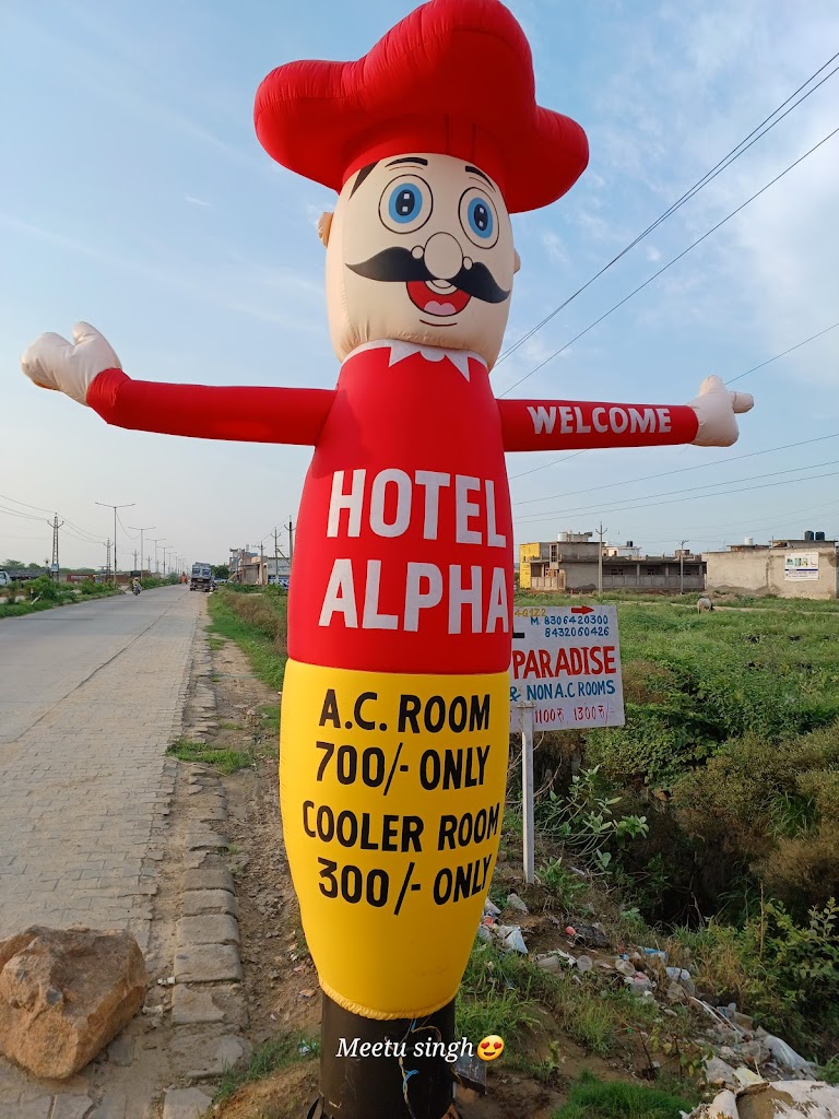 Hotel Alpha M I A Alwar
