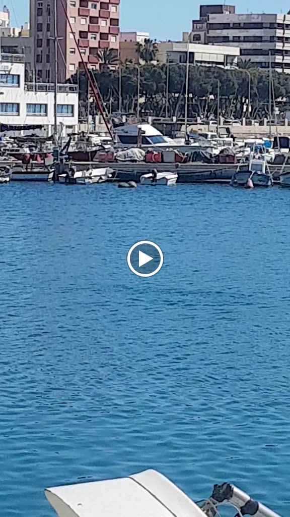 Restaurante El Timon — Videos