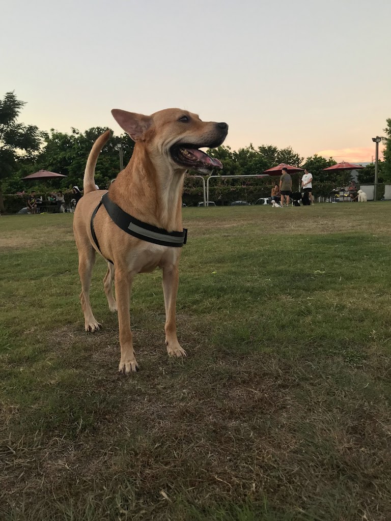 陽光莊園 的照片