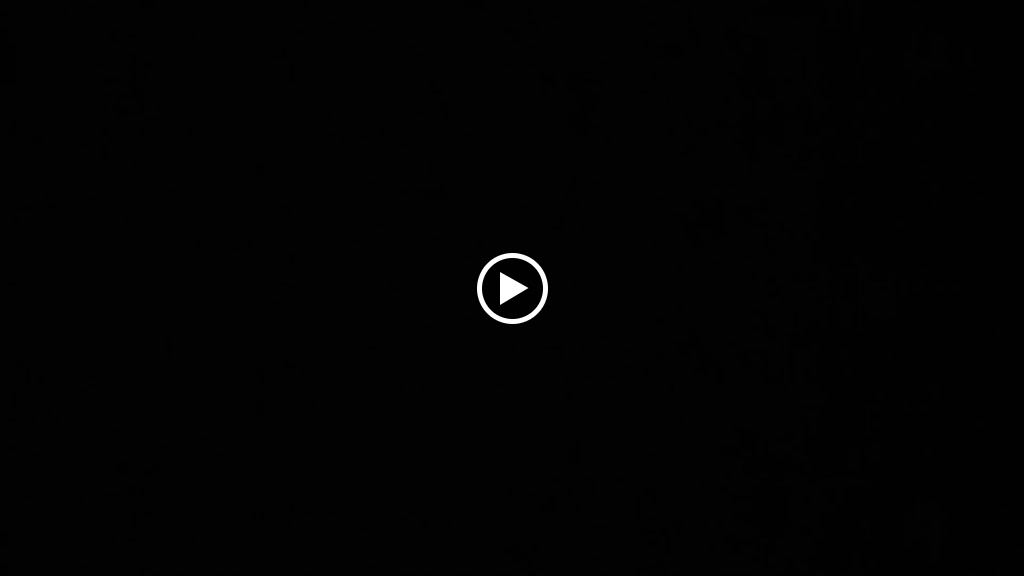 Carnivoro Food — Videos