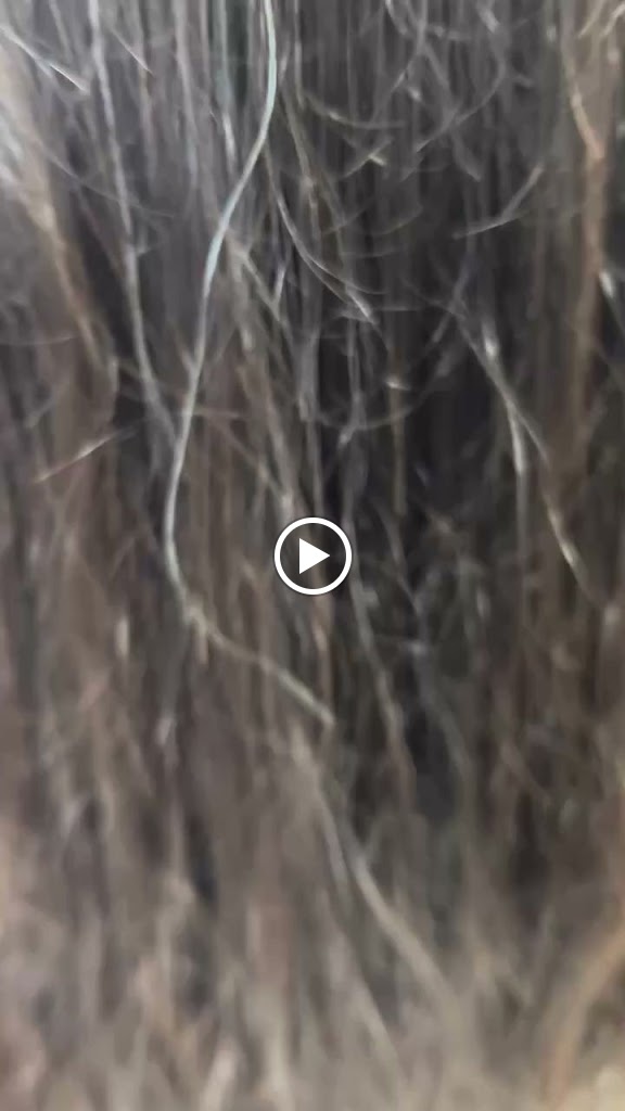 Peluqueria Gira Beauty Salon — Mas recientes