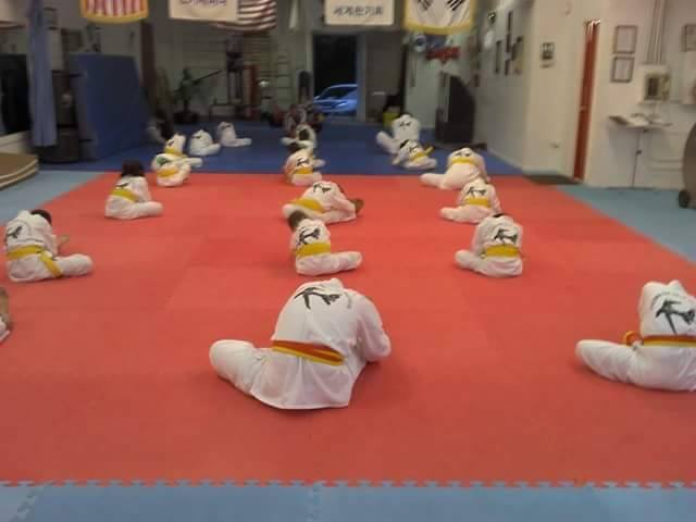  Virginia Tae Kwon Do Institute LLC