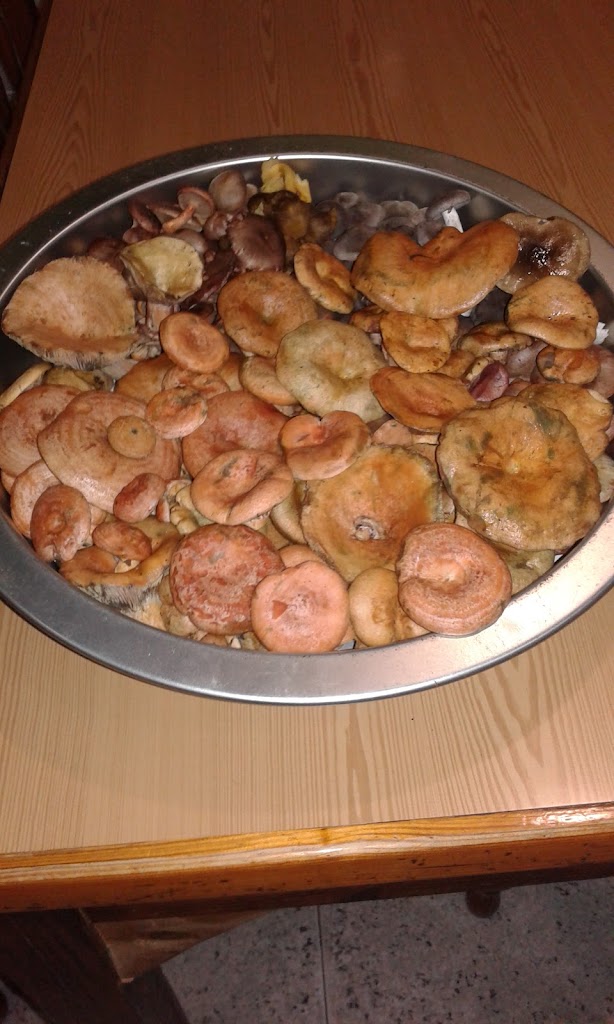 Bar Rte. Casa Miguel — Comida y bebida